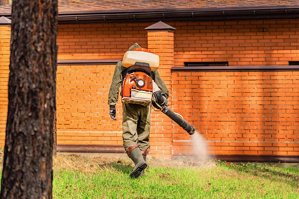 Trusted Rodent Control service in Ixonia, WI - Nex Pest Control
